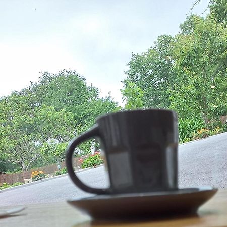 La Casa Bed&Breakfast Entree Independante 26M2 Calme Proche De Tout Wifi Parking Prive Jardin Terrasse ユリューニュ エクステリア 写真