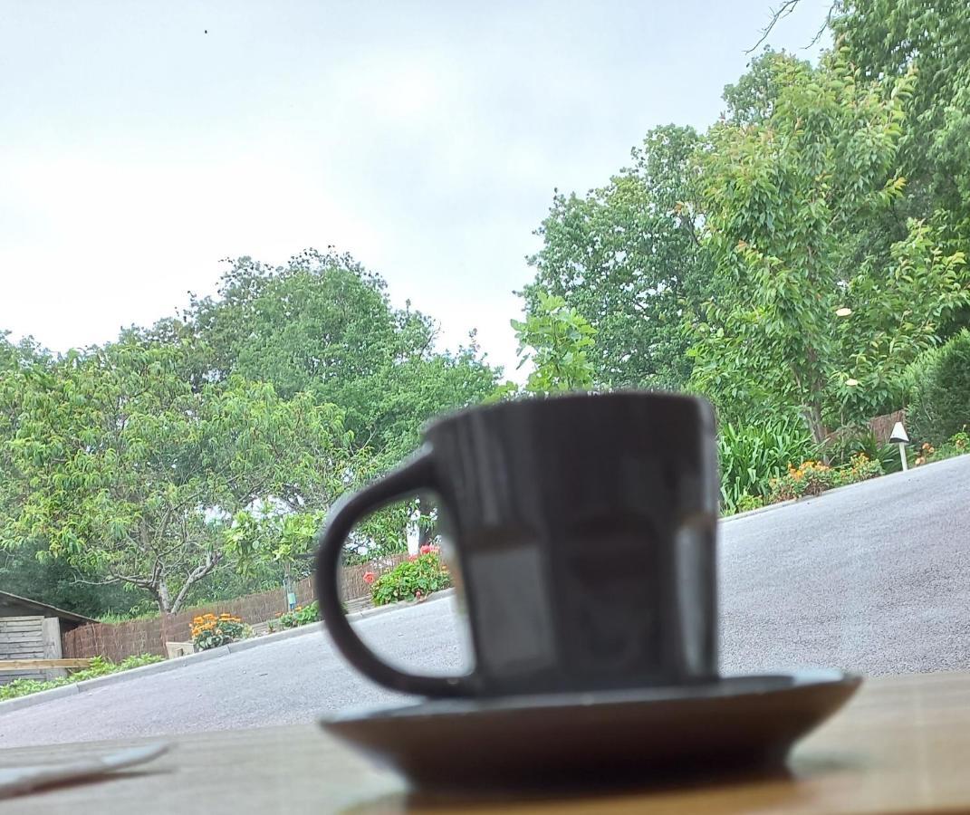 La Casa Bed&Breakfast Entree Independante 26M2 Calme Proche De Tout Wifi Parking Prive Jardin Terrasse ユリューニュ エクステリア 写真