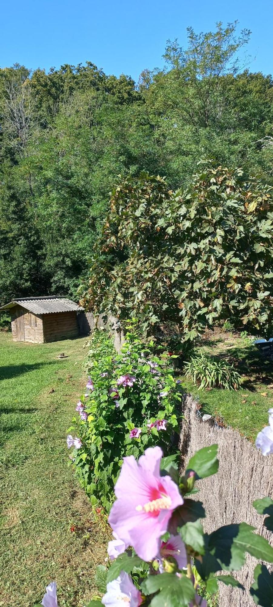 La Casa Bed&Breakfast Entree Independante 26M2 Calme Proche De Tout Wifi Parking Prive Jardin Terrasse ユリューニュ エクステリア 写真